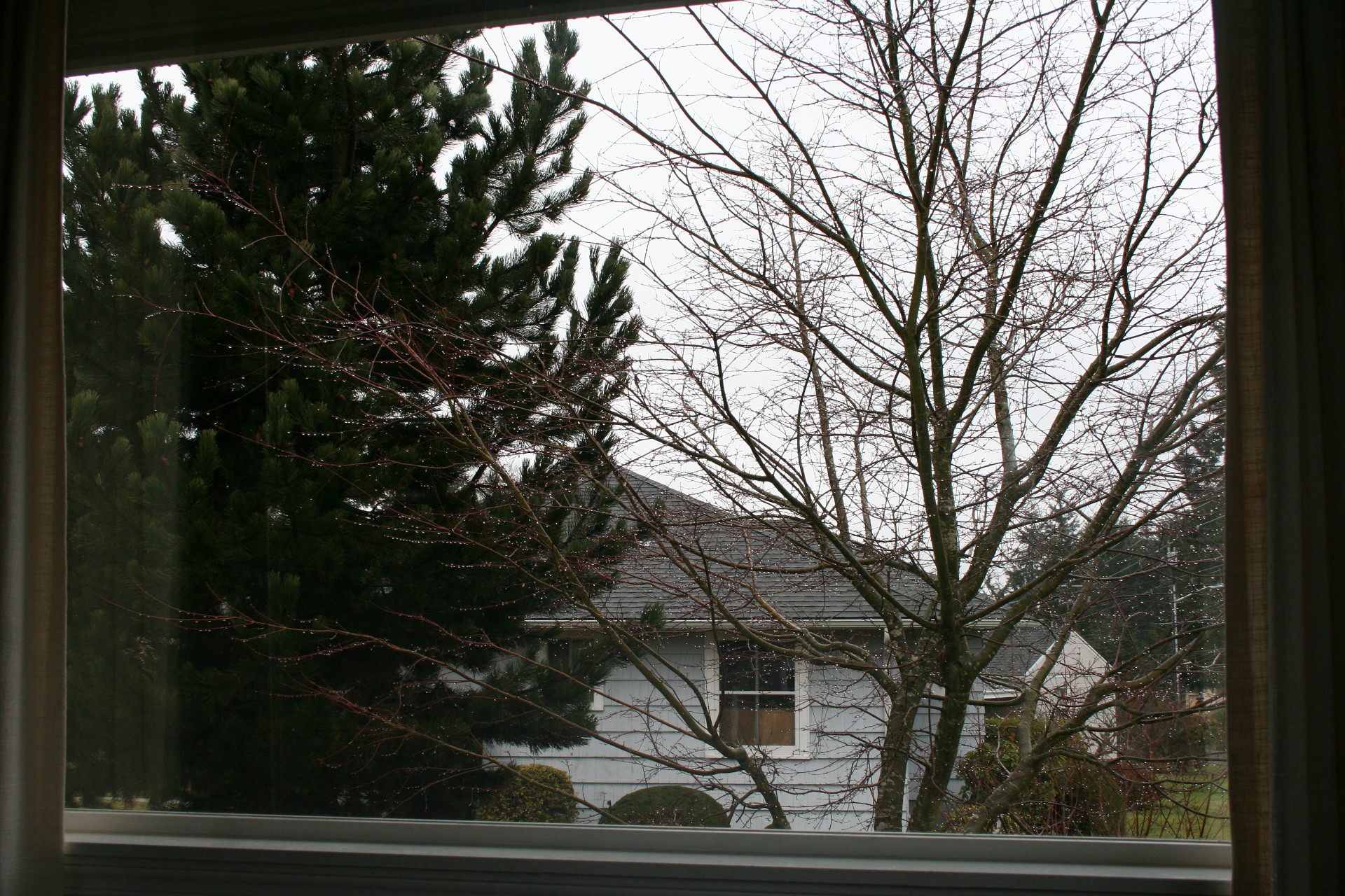 From The Couch