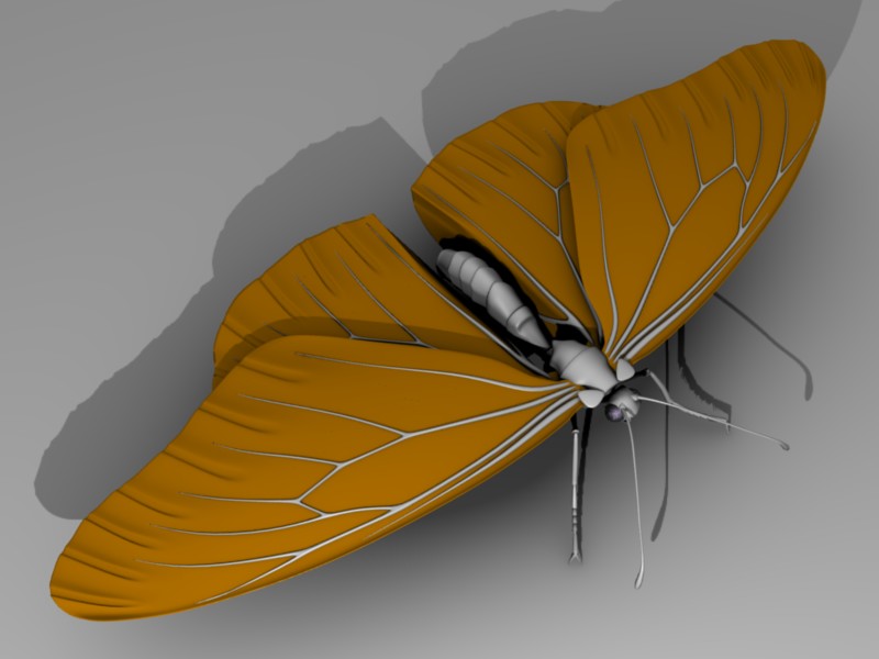 Monarch Butterfly, Top view, 3D Model Geometry