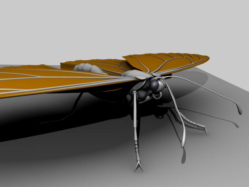 Monarch Butterfly, 3D Model Geometry