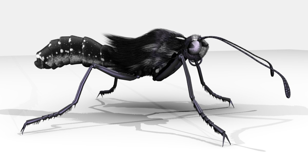 Monarch Butterfly Body, no wings, Side