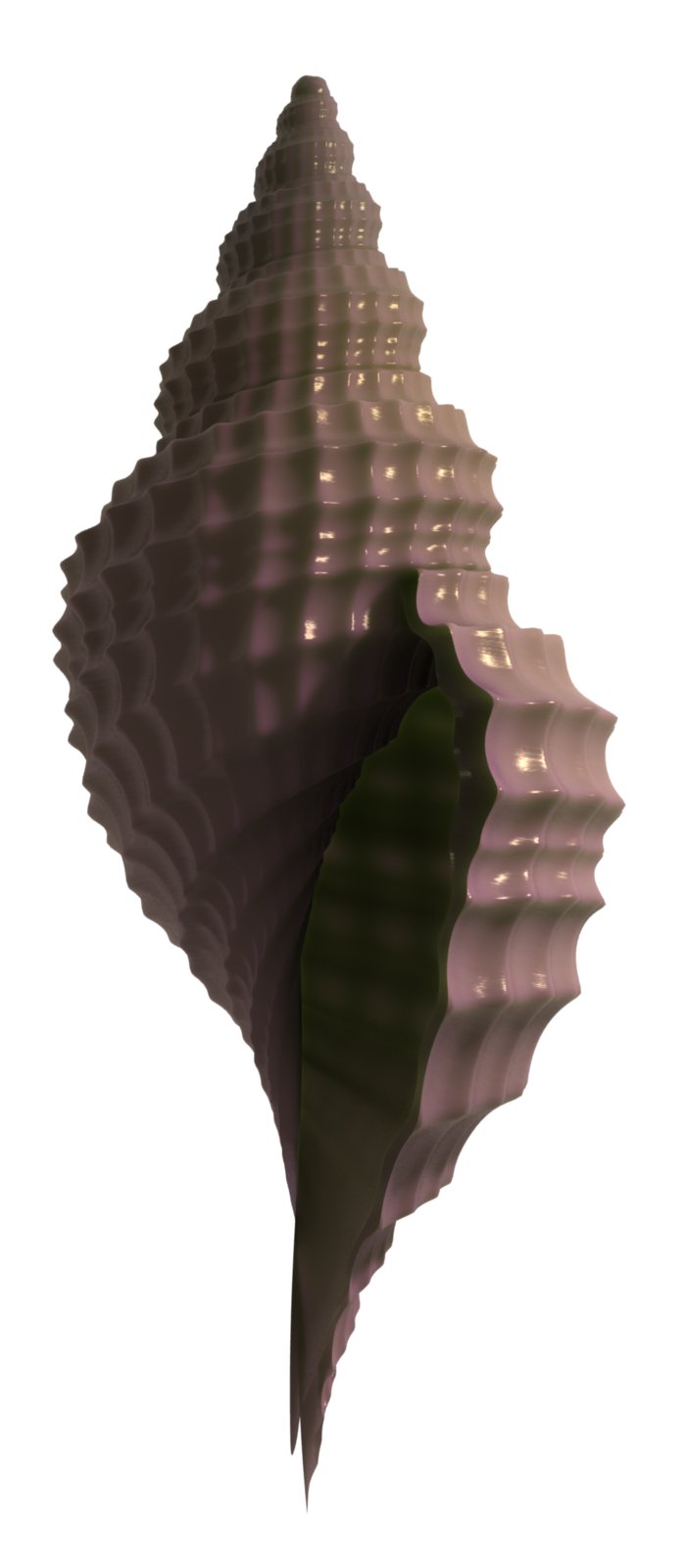 shell Render