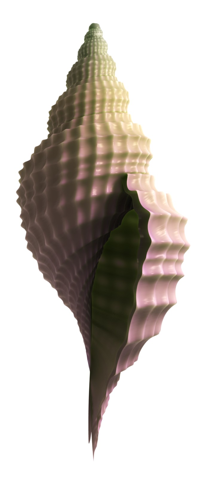 shell Render