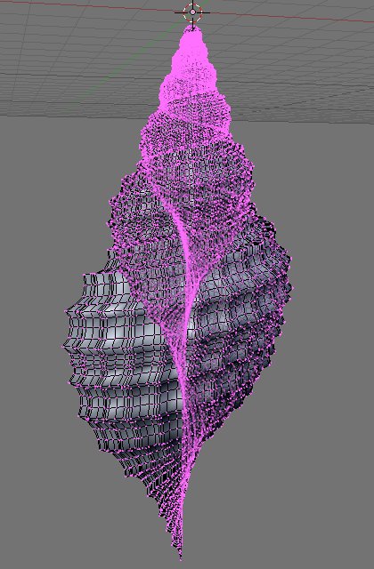 shell Wireframe